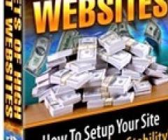 Secrets Of High Profit Websites