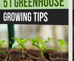 51 Greenhouse Growing Tips