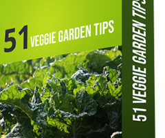 51 Veggie Garden Tips